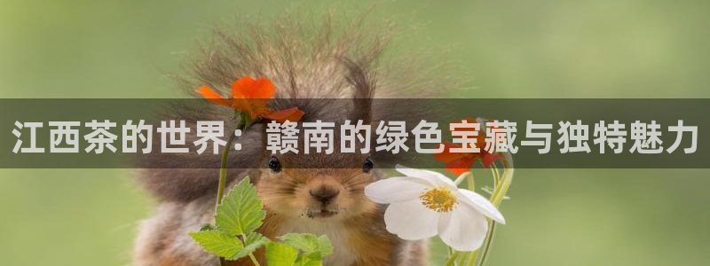 金年会官网登入