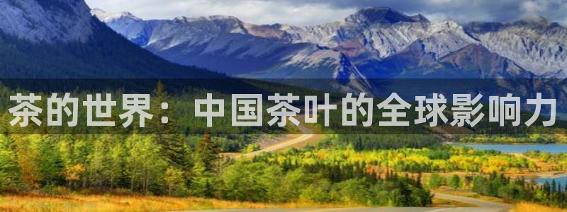 金年会今年会