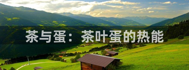 金年会电子