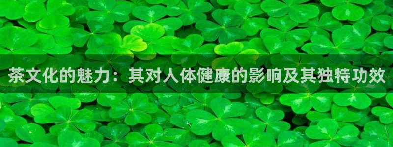 澳门与金年会的关系