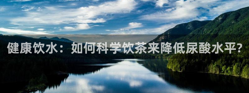 金年会黑网