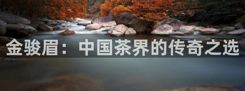 金年会体育平台