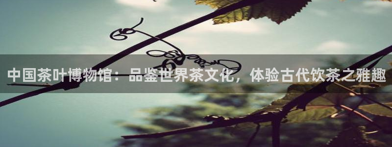 金年会软件之家下载