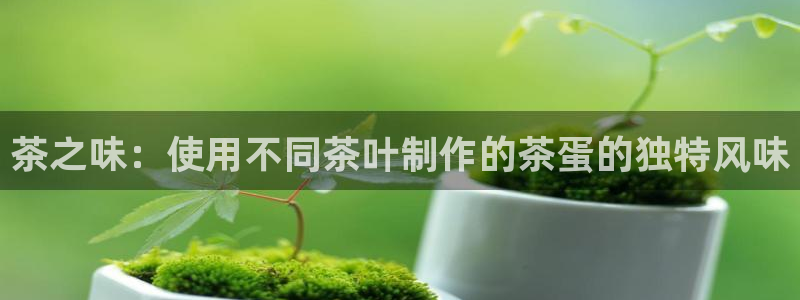 金年会娱乐和马竞