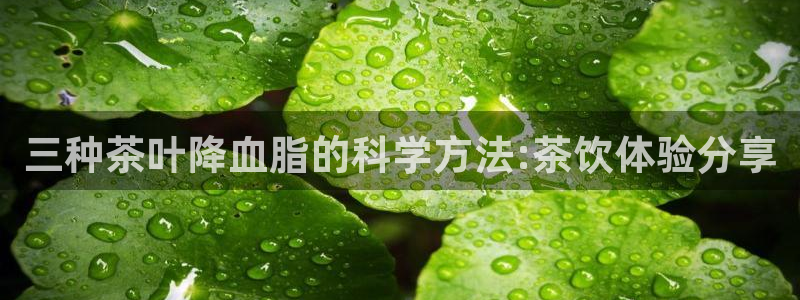 金年会6088070