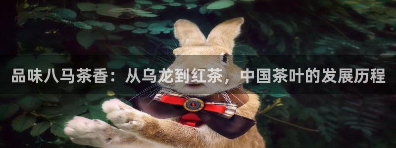金年会体育