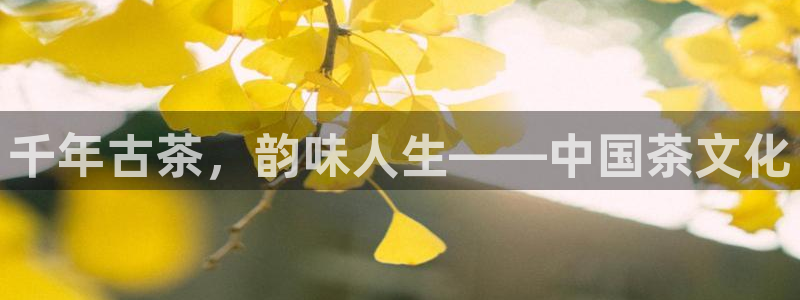 金年会下载官方