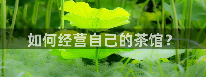 金年会娱乐