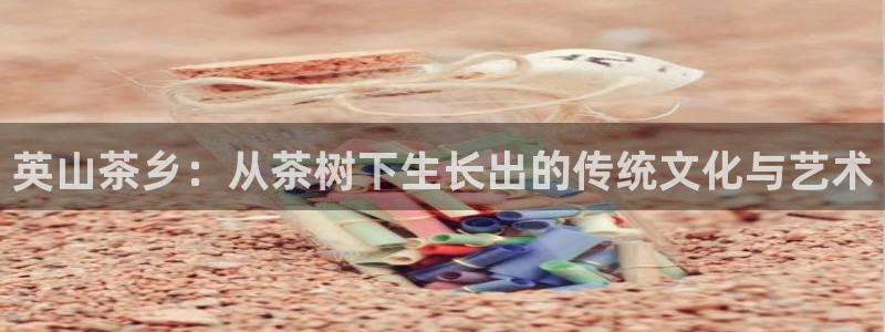 金年会是真的吗