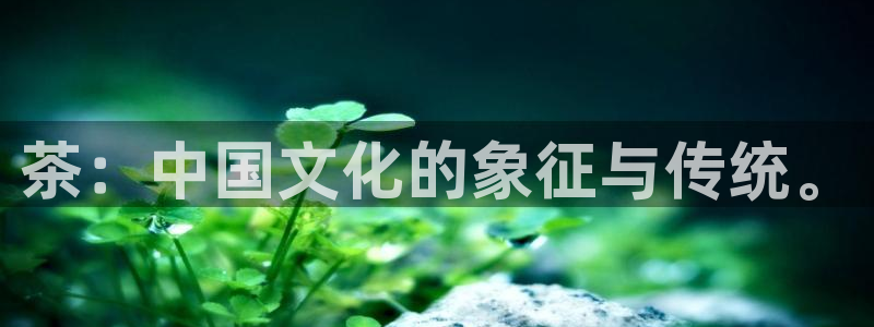 世界杯金年会app下载