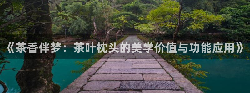 金年会官网app