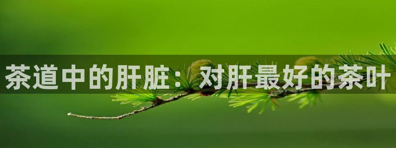 金年会 1080P