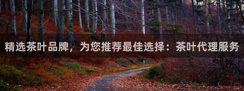 金年会介绍