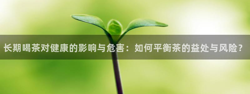 金年会体育平台入口