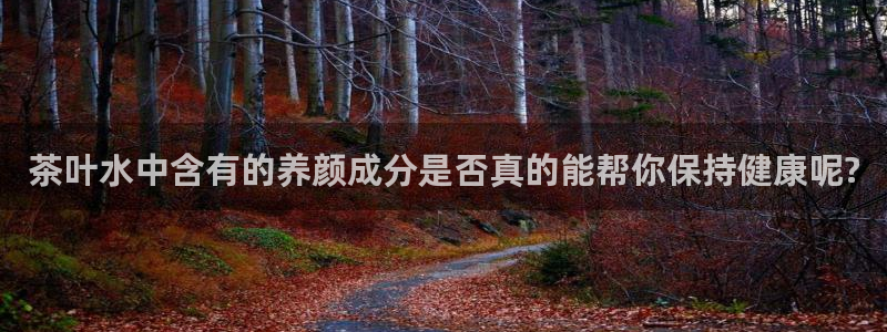 为什么搜索不了金年会