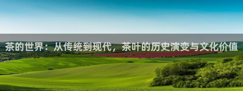 金年会足彩
