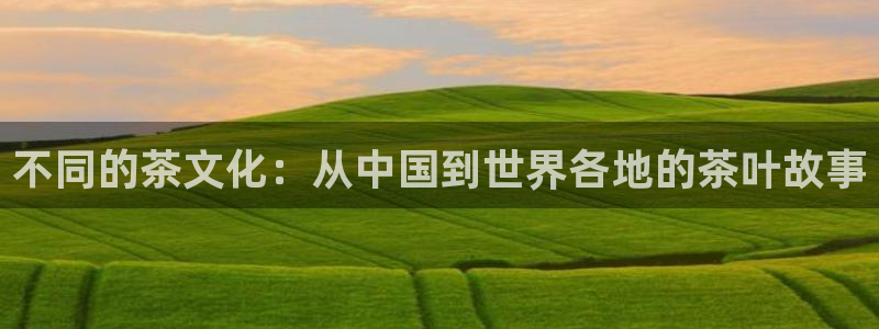 jinnian金年会