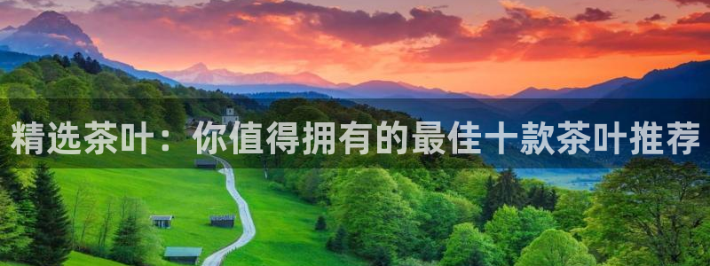 金联金年会