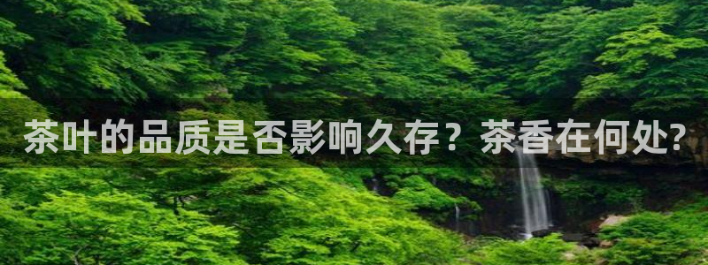 金年会开户