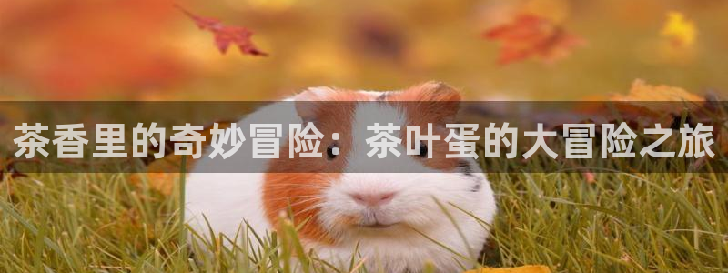 金年会com