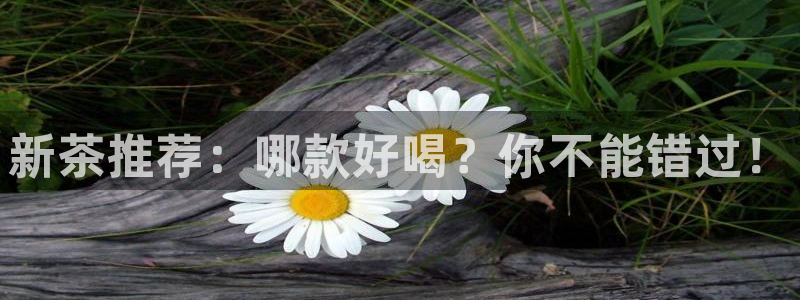 澳门金年会棋牌