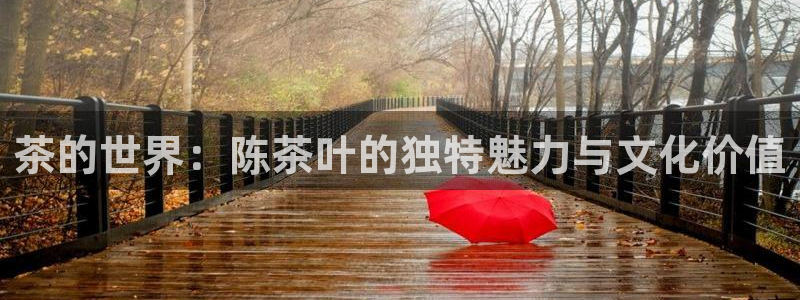 金年会官方客服电话