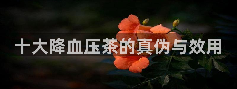 金年会体育平台在线登录