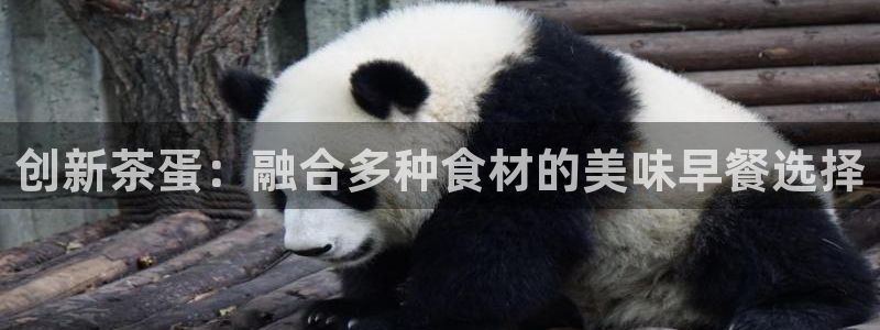 金年会体育