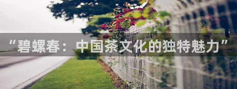 金年会官方网站