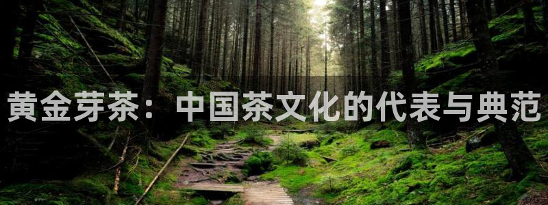 2022金年会