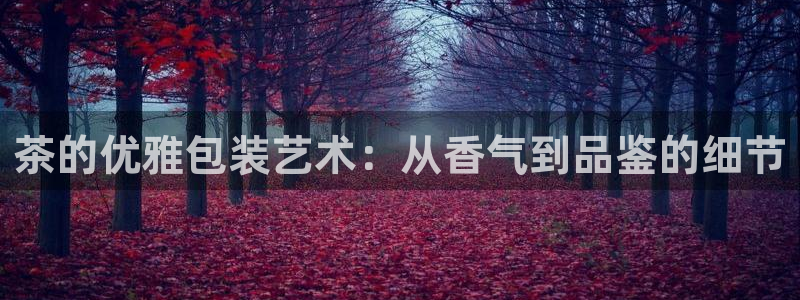 金金年会