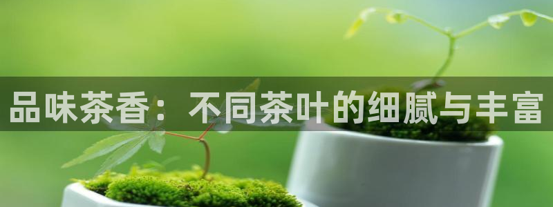 金年会体育app下载