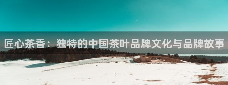 为什么搜索不了金年会