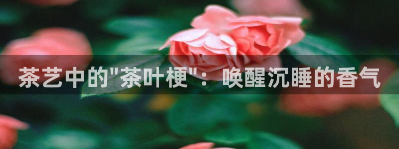 金年会平台