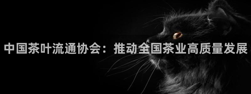 金年会体育和金年会