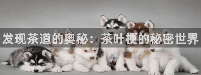 金年会在线登录