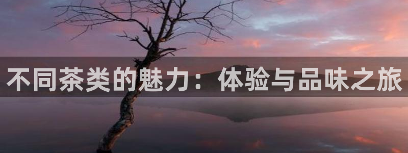 金年会娱乐和马竞