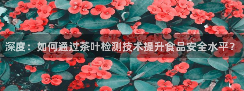 金年会娱乐下载app