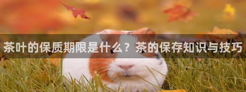 金年会是正规平台吗