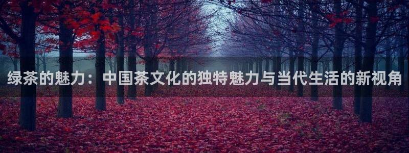 金年会电子游戏