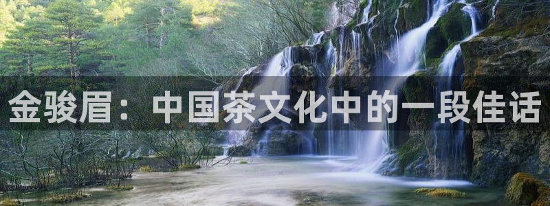 金年会能提款吗