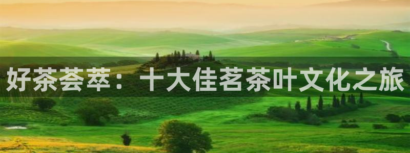 金年会是赌博的吗