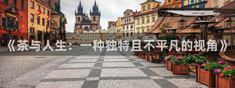 金年会手机网页版登录