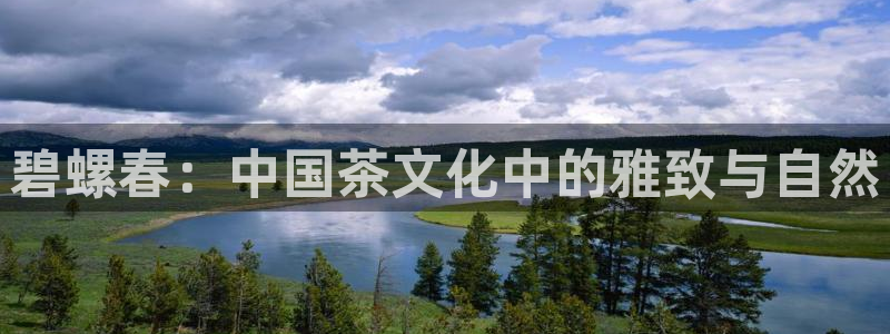 金年会官网入口