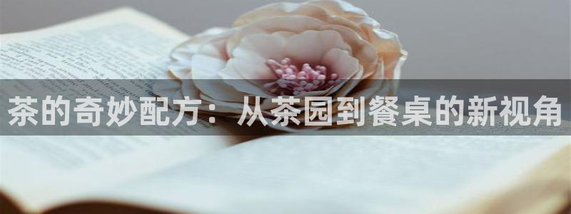 金年会体育苹果下载