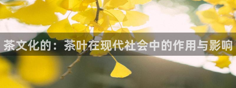 金年会最新登录