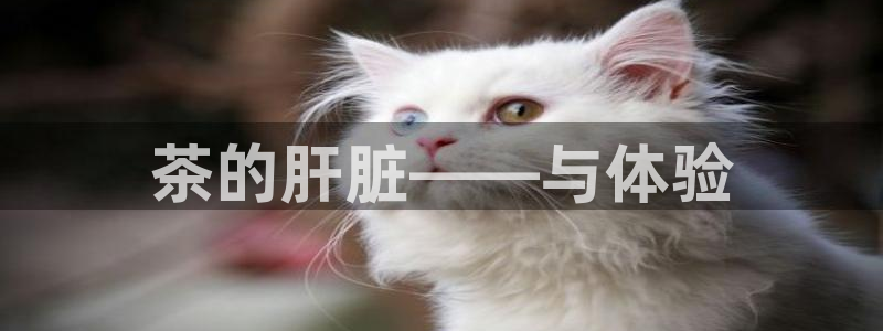 金年会登录入口