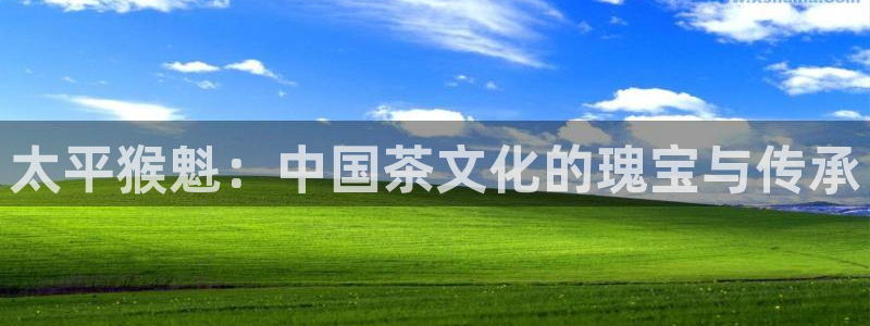 金年会在线下载