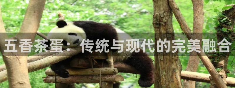 金年会官网入口