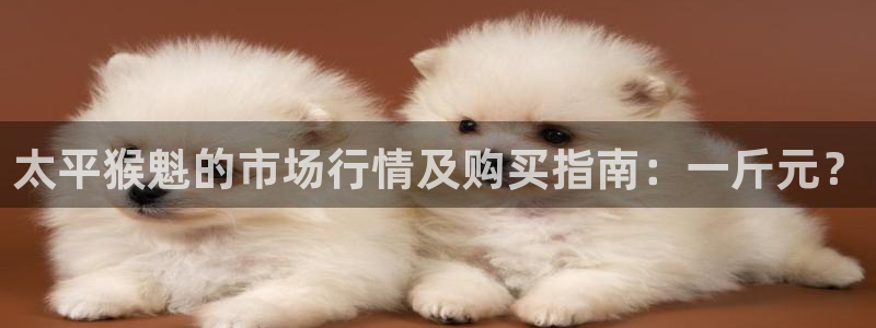 金年会娱乐和马竞